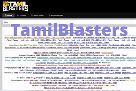 Tamilblasters New Domain
