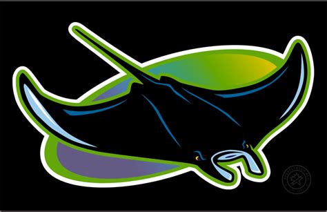 Tampa Bay Devil Rays Hat: Cool Collector's Choice