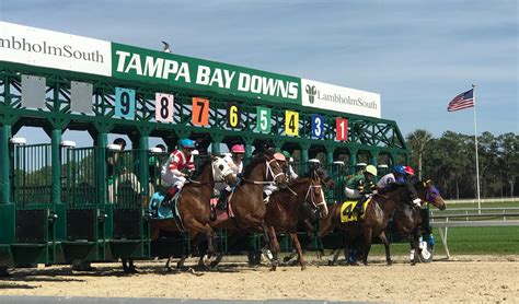 tampa bay downs entries and results today