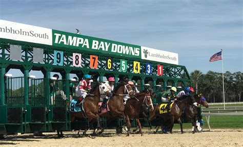 tampa bay downs entries today