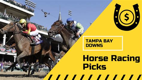 tampa bay downs expert picks