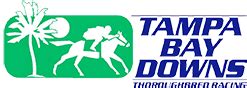 tampa bay downs guaranteed tip sheet