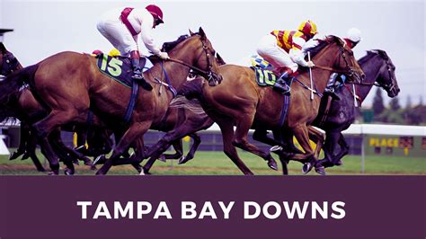 tampa bay downs picks