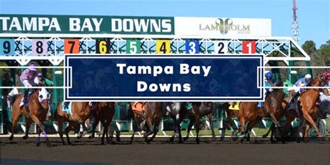 tampa bay downs picks today