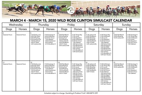 tampa bay downs schedule 2022