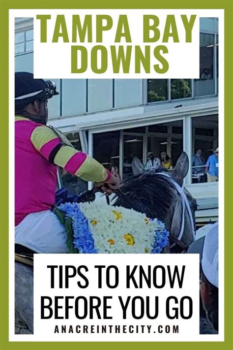 tampa bay downs tips