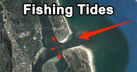 tampa bay high and low tides