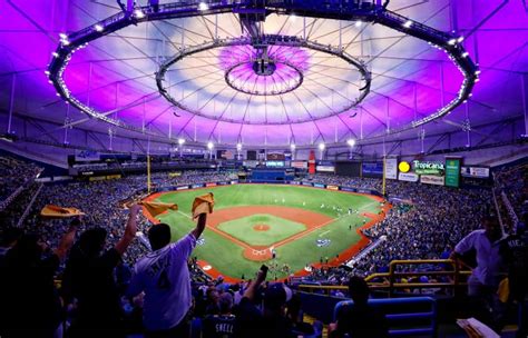 tampa bay rays tickets stubhub