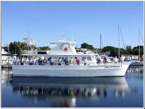 tampa fishing charters party boat