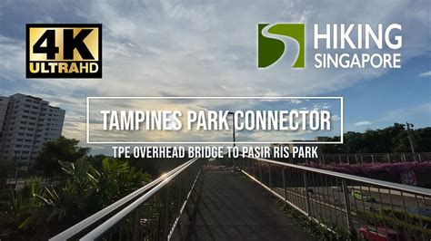 tampines park connector