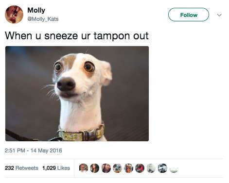 Tampon Joke Meme