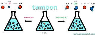 Tampon Solution Definition