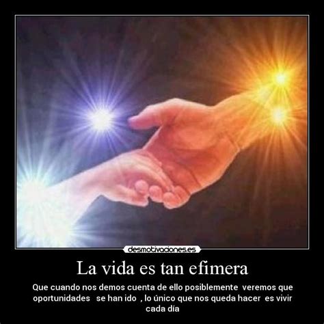 About Tan Efimera La Vida Latest