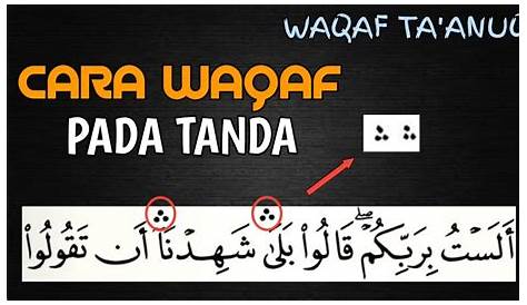 Tanda-tanda Waqaf Beserta Arti Dan Contohnya - HaHuwa