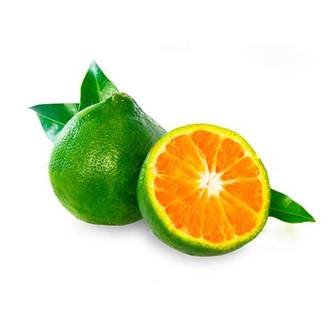 Tangerine Uganda