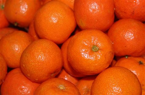 Tangerines Oranges