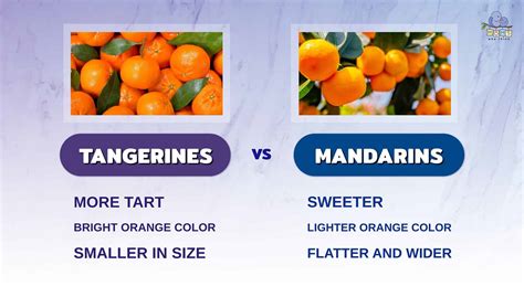 Tangerines Vs Mandarins