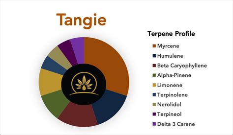 tangie strain terpene profile