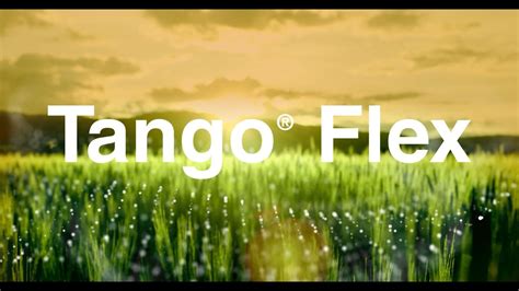 FUZE TANGO FLEX Fuze Toys Fuze Toys