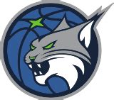 tankathon wnba