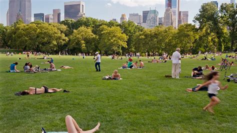 Sun Tanning In Central Park Banque d'image et photos Alamy