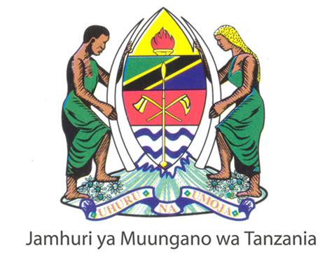 tanzania government flight agency