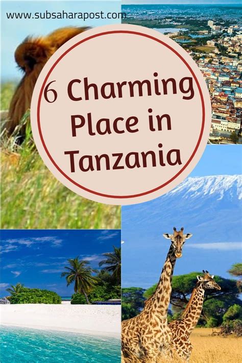 tanzania guide