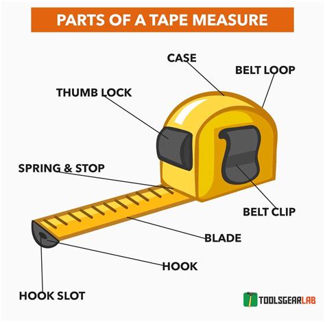Tape Measure Function In Laboratory