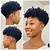 taper haircut afro woman