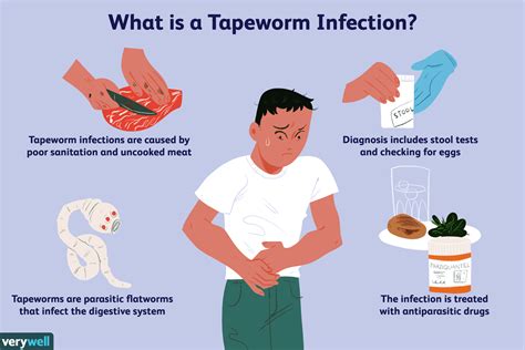 Tapeworm In Stool