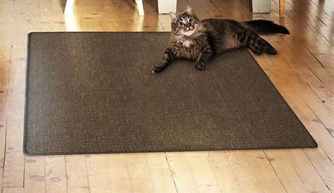 Tapis griffoir en sisal "KittyPaw" pour chat 49 cm x 23 cm