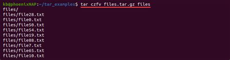 Tar Folder Example Linux