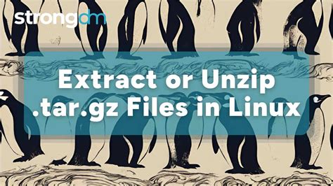 Linux komprimieren archivieren packen entpacken zip tar gz bz2 gzip lzip compress comprez