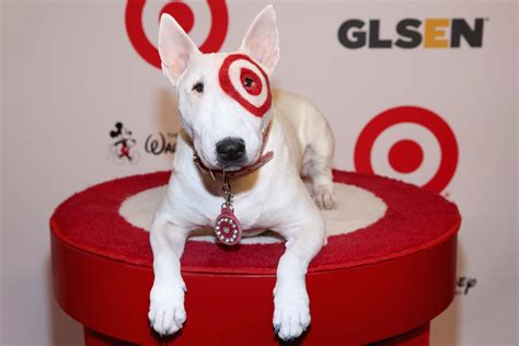 target dog bullseye pin