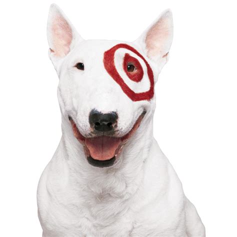 Target Dog Run