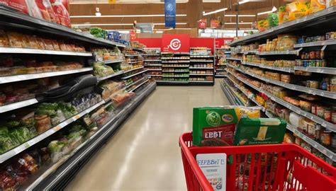 Maximize Your Benefits: Discover Target EBT Eligible Items for Savvy Shoppers