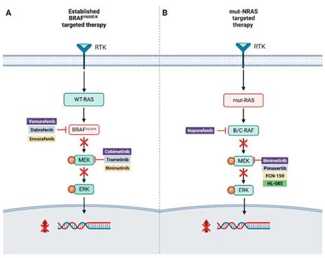 targeted therapy for melanoma