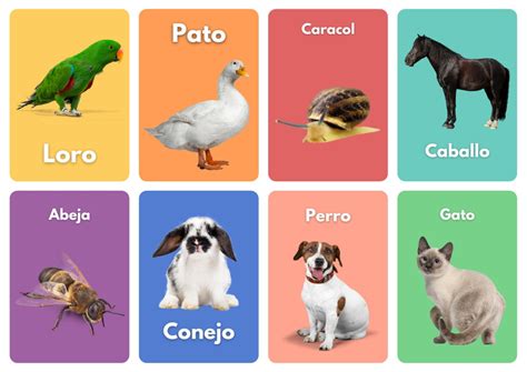 tarjetas de animales para imprimir