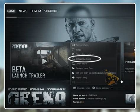 tarkov launch error 103003