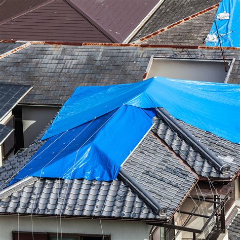 Tarp Roof Meaning