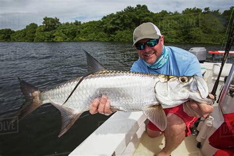 tarpon fishing puerto rico