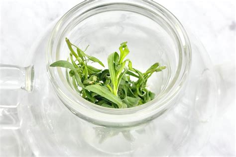 Tarragon In Tea