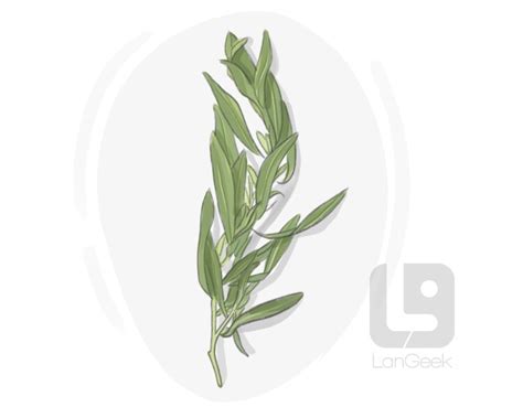 Tarragon Wiki Dictionary