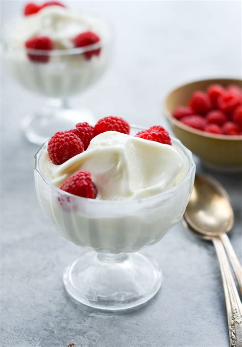 Frozen Yogurt Recipe Chelsea's Messy Apron