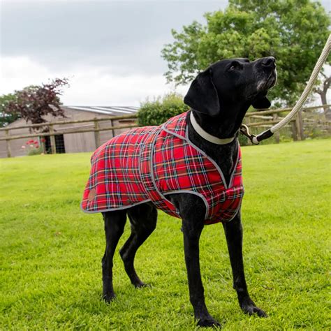Tartan Dog Items