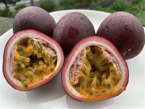 taste of purple passion