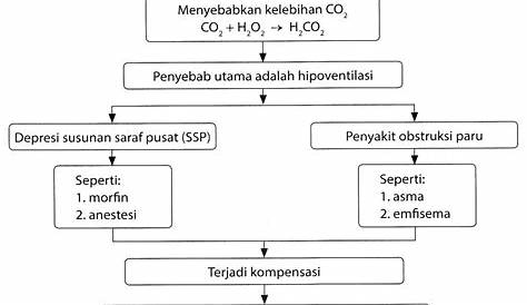 Asidosis Respiratorik, Asidosis Metabolik, Alkalosis