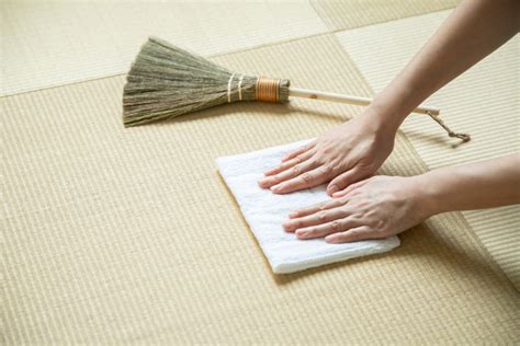 Tatami Mats Cleaning