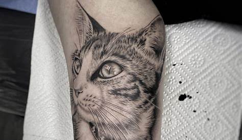 Tatuajes de Gatos 【 Diseños y Significados de este