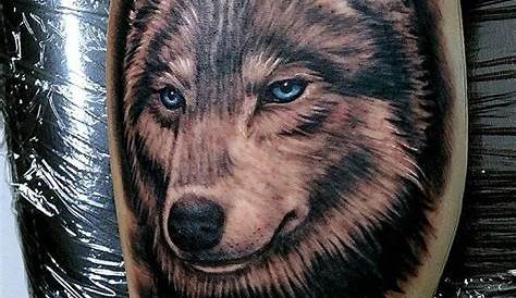 Tatuajes de lobos en el hombro Tatuajes locos de lobos